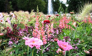 In Bad Lippspringe war die Gartenschau auch im Jahr 2019 ein Anziehungspunkt für Besucher. - Gartenschau Bad Lippspringe In Bad Lippspringe war die Gartenschau auch im Jahr 2019 ein Anziehungspunkt für Besucher. - Gartenschau Bad Lippspringe