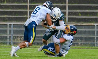 Die Essener Cardinals stoppen die Bielefeld Bulldogs im heimischen Stadion mit 35:24. - Andreas Zobe Die Essener Cardinals stoppen die Bielefeld Bulldogs im heimischen Stadion mit 35:24. - Andreas Zobe