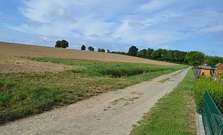 Der Wirtschaftsweg oberhalb des Südrings in Bredenborn, soll tiefergelegt werden, um so die Regenmassen bei einem Starkregenereignis zunächst aufzufangen und kontrolliert in die Schächte ablaufen zu lassen. - Nicole Niemann Der Wirtschaftsweg oberhalb des Südrings in Bredenborn, soll tiefergelegt werden, um so die Regenmassen bei einem Starkregenereignis zunächst aufzufangen und kontrolliert in die Schächte ablaufen zu lassen. - Nicole Niemann