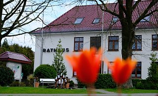 Die drei Kandidaten für das Bürgermeisteramt sprechen über ihre beruflich größten Erfolge. - Heike von Schulz Die drei Kandidaten für das Bürgermeisteramt sprechen über ihre beruflich größten Erfolge. - Heike von Schulz