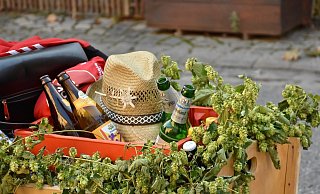 Mit dem Bollerwagen losziehen, das ist keine gute Idee (Symbolbild). - Pixabay Mit dem Bollerwagen losziehen, das ist keine gute Idee (Symbolbild). - Pixabay