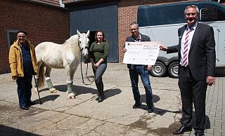 Wolfgang Linnemann (v. l., Spastikerhilfe), Therapiepferd Phillo, Besitzerin Angelina Pypetz, Uwe Schmale (Spastikerhilfe) und Klaus Sundermeier (Sparkasse Herford) schwören auf den Erfolg der Reittherapie. - Anthea Moschner Wolfgang Linnemann (v. l., Spastikerhilfe), Therapiepferd Phillo, Besitzerin Angelina Pypetz, Uwe Schmale (Spastikerhilfe) und Klaus Sundermeier (Sparkasse Herford) schwören auf den Erfolg der Reittherapie. - Anthea Moschner