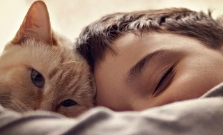 Katzen und Kinder kuscheln manchmal gerne. Will das Tier aber seine Ruhe, sollten Kinder sie auch alleine lassen. - Pixabay Katzen und Kinder kuscheln manchmal gerne. Will das Tier aber seine Ruhe, sollten Kinder sie auch alleine lassen. - Pixabay