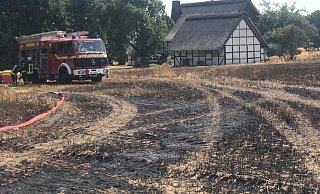 Im Borgholzhausener Ortsteil Casum brannten am Montag Felder – ein Feuer im Teutoburger Wald könnte noch viel schlimmere Folgen haben. - Anke Schneider Im Borgholzhausener Ortsteil Casum brannten am Montag Felder – ein Feuer im Teutoburger Wald könnte noch viel schlimmere Folgen haben. - Anke Schneider