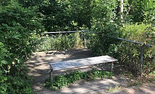 Eine der letzten Plattformen: Diese steht am Bürgerwald am Rand des Spielplatzes. Im Hintergrund fließt die Werre, gut versteckt hinter Sträuchern. - Dirk Windmöller Eine der letzten Plattformen: Diese steht am Bürgerwald am Rand des Spielplatzes. Im Hintergrund fließt die Werre, gut versteckt hinter Sträuchern. - Dirk Windmöller
