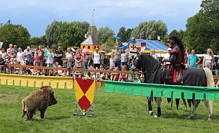 Besuchermagnet: Beim Ritterturnier schaut sich Bösewicht "Targo" auf seinem Pferd die Wildschweinattrappe genau an, bevor er sie beim folgenden Ritt aufspießt. - Simon Steinberg Besuchermagnet: Beim Ritterturnier schaut sich Bösewicht "Targo" auf seinem Pferd die Wildschweinattrappe genau an, bevor er sie beim folgenden Ritt aufspießt. - Simon Steinberg