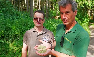 Kein gutes Zeichen: Michael Wessel (v. r.) hält Nadeln, die von toten Fichten auf den Boden von Waldbesitzer Hans-Rudolf Ising gefallen sind. - Kristoffer Fillies Kein gutes Zeichen: Michael Wessel (v. r.) hält Nadeln, die von toten Fichten auf den Boden von Waldbesitzer Hans-Rudolf Ising gefallen sind. - Kristoffer Fillies