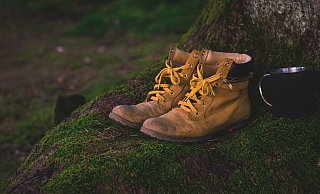 - Symbolbild: Pixabay - Symbolbild: Pixabay