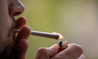 Das Kabinett bringt den Cannabis-Gesetzentwurf voraussichtlich heute auf den Weg. An dem Vorhaben scheiden sich allerdings die Geister. - Hannes P. Albert/dpa Das Kabinett bringt den Cannabis-Gesetzentwurf voraussichtlich heute auf den Weg. An dem Vorhaben scheiden sich allerdings die Geister. - Hannes P. Albert/dpa