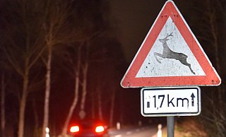 Ist eine Kollision nicht zu verhindern, ist ein frontaler Zusammenstoß ungefährlicher, als ein Seitenaufprall gegen einen Baum o. ä. - Kreisjägerschaft Ist eine Kollision nicht zu verhindern, ist ein frontaler Zusammenstoß ungefährlicher, als ein Seitenaufprall gegen einen Baum o. ä. - Kreisjägerschaft