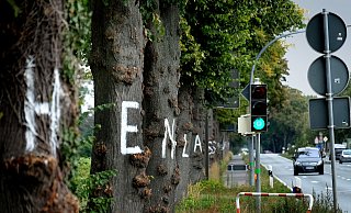 In großen weißen Buchstaben steht das Wort „Stehenlassen" auf den Linden. Aber wer war das? - Andreas Frücht In großen weißen Buchstaben steht das Wort „Stehenlassen" auf den Linden. Aber wer war das? - Andreas Frücht