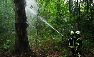 Mit einer C-Leitung und Wasser aus dem Fahrzeugtank löschte die Löschgruppe Schwarzenmoor den Baum. - Feuerwehr Herford Mit einer C-Leitung und Wasser aus dem Fahrzeugtank löschte die Löschgruppe Schwarzenmoor den Baum. - Feuerwehr Herford