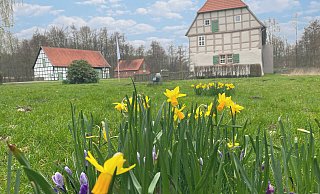 Das Werburg-Ensemble wird neben anderen öffentlichen Gebäunden in der Risikoanalsyse genannt. - Werburg Museum Das Werburg-Ensemble wird neben anderen öffentlichen Gebäunden in der Risikoanalsyse genannt. - Werburg Museum