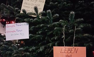 Impfskeptiker haben ihre Botschaften gestern Morgen auf Zettel geschrieben und sie an die Tanne auf dem Alten Markt gehängt. - NW Impfskeptiker haben ihre Botschaften gestern Morgen auf Zettel geschrieben und sie an die Tanne auf dem Alten Markt gehängt. - NW
