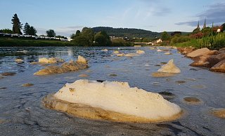 Bräunlich-gelber Schaum sammelt sich derzeit auf der Weser in Ufernähe. - Thomas Kube Bräunlich-gelber Schaum sammelt sich derzeit auf der Weser in Ufernähe. - Thomas Kube