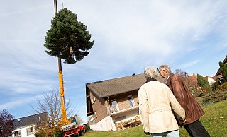 Der Kran hob den 1,6 Tonnen schweren Baum über das Haus. - Niklas Tüns Der Kran hob den 1,6 Tonnen schweren Baum über das Haus. - Niklas Tüns