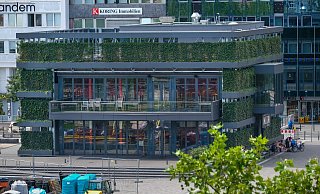 Im Grünen Würfel soll ein Jugendangebot entstehen. Die Politik streitet, wie man mit der dortigen Drogenszene umgehen soll. - Christian Geisler Im Grünen Würfel soll ein Jugendangebot entstehen. Die Politik streitet, wie man mit der dortigen Drogenszene umgehen soll. - Christian Geisler