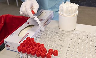 Fünf Prozent der positiven PCR-Proben werden auf die Zusammensetzung ihres Erbguts untersucht. - Picture alliance / NurPhoto | Joaquin Gomez Sastre Fünf Prozent der positiven PCR-Proben werden auf die Zusammensetzung ihres Erbguts untersucht. - Picture alliance / NurPhoto | Joaquin Gomez Sastre