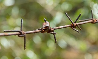 Die Jusos im Kreis fordern den CDU-Bundestagsabegordneten des Kreises Höxter auf, öffentlich dafür zu werben, mehr Geflüchtete aufzunehmen (Symbolbild). - Pixabay Die Jusos im Kreis fordern den CDU-Bundestagsabegordneten des Kreises Höxter auf, öffentlich dafür zu werben, mehr Geflüchtete aufzunehmen (Symbolbild). - Pixabay