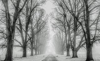 Auf den Straßen in NRW könnte es dank Schneefalls glatt werden. - Symbolbild: Pixabay Auf den Straßen in NRW könnte es dank Schneefalls glatt werden. - Symbolbild: Pixabay