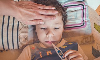 Das RS-Virus kann jeden treffen. Für vorerkrankte Kinder kann der Erreger gefährlich werden. - Pixabay Das RS-Virus kann jeden treffen. Für vorerkrankte Kinder kann der Erreger gefährlich werden. - Pixabay