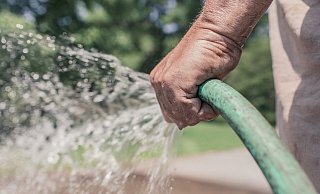 Einer der Männer erzählte, dass sie in der Nachbarschaft mit Gartenarbeiten beschäftigt seien und der Dame jetzt auch ihre Dienste anbieten wollten. - Pixabay Einer der Männer erzählte, dass sie in der Nachbarschaft mit Gartenarbeiten beschäftigt seien und der Dame jetzt auch ihre Dienste anbieten wollten. - Pixabay