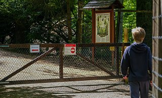 Bielefelds beliebtester Ort, der Tierpark Olderdissen. - Foto: Andreas Zobe/NW Bielefelds beliebtester Ort, der Tierpark Olderdissen. - Foto: Andreas Zobe/NW
