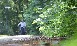 Wildwuchs: Der Fußweg zwischen der Maternusklinik und der ehemaligen Weserklinik am Brinkkamp ist stellenweise halb zugewuchert. - Jörg Stuke Wildwuchs: Der Fußweg zwischen der Maternusklinik und der ehemaligen Weserklinik am Brinkkamp ist stellenweise halb zugewuchert. - Jörg Stuke