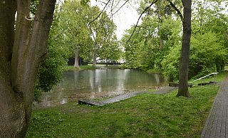 Teich im Riemeke-Park: Die Wasserqualität hängt von zahlreichen Faktoren ab. - Marc Köppelmann Teich im Riemeke-Park: Die Wasserqualität hängt von zahlreichen Faktoren ab. - Marc Köppelmann