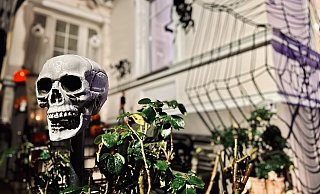 Was gibts denn da zu lachen? Wenn es dunkel wird, ist schnell Schluss mit lustig. - Stefan Becker Was gibts denn da zu lachen? Wenn es dunkel wird, ist schnell Schluss mit lustig. - Stefan Becker