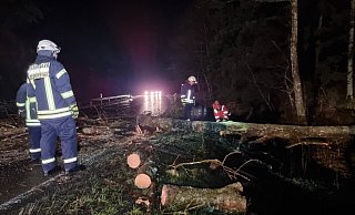 Umgestürzte Bäumen sorgten Deutschlandweit für zahlreiche Einsätze. - picture alliance/dpa Umgestürzte Bäumen sorgten Deutschlandweit für zahlreiche Einsätze. - picture alliance/dpa