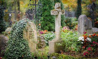Der Waldfriedhof in Paderborn-Schloß Neuhaus wird im November 100 Jahre alt. - Pixabay (Symbolfoto) Der Waldfriedhof in Paderborn-Schloß Neuhaus wird im November 100 Jahre alt. - Pixabay (Symbolfoto)