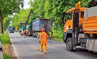 An der B61 in Gütersloh mussten am Montag sieben Linden gefällt werden. - Matthias Reiprich An der B61 in Gütersloh mussten am Montag sieben Linden gefällt werden. - Matthias Reiprich