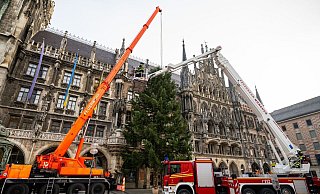 Feuerwehrleute stellen mit Hilfe eines Krans den Weihnachtsbaum auf dem Münchner Marienplatz auf. - Lennart Preiss/dpa Feuerwehrleute stellen mit Hilfe eines Krans den Weihnachtsbaum auf dem Münchner Marienplatz auf. - Lennart Preiss/dpa