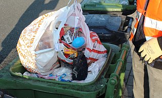 In die Biotonne gehören nur Grünabfälle. Auch hier will die Stadt Rietberg künftig aktiv werden, wenn diese falsch befüllt werden. - Stadt Rietberg In die Biotonne gehören nur Grünabfälle. Auch hier will die Stadt Rietberg künftig aktiv werden, wenn diese falsch befüllt werden. - Stadt Rietberg