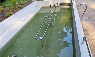 Grünes Wasser: Kneipp-Fans zeigen sich eher zurückhaltend bei der Nutzung des Tretbeckens auf dem Eggelandareal. - Nadine Nolte Grünes Wasser: Kneipp-Fans zeigen sich eher zurückhaltend bei der Nutzung des Tretbeckens auf dem Eggelandareal. - Nadine Nolte