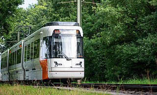 Eine Stadtbahn der Linie 4 ist an der Universität in Bielefeld mit einem Auto zusammengestoßen. - Symbolbild: Felix Brenneke Eine Stadtbahn der Linie 4 ist an der Universität in Bielefeld mit einem Auto zusammengestoßen. - Symbolbild: Felix Brenneke