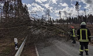 Das Tief "Klaus" bescherte dem Löschzug Willebadessen am Donnerstag gegen 14 Uhr einen Einsatz. Die L 763 Richtung Kleinenberg war versperrt. - Feuerwehr Willebadessen Das Tief "Klaus" bescherte dem Löschzug Willebadessen am Donnerstag gegen 14 Uhr einen Einsatz. Die L 763 Richtung Kleinenberg war versperrt. - Feuerwehr Willebadessen