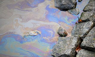 Ein Ölfilm auf dem Wasser des Nord-Ostsee-Kanals. Die weltweit meistbefahrene künstliche Seewasserstraße bleibt nach einem Ölunfall voraussichtlich mindestens bis zum 28. Dezember für die Schifffahrt gesperrt. - Jonas Walzberg/dpa Ein Ölfilm auf dem Wasser des Nord-Ostsee-Kanals. Die weltweit meistbefahrene künstliche Seewasserstraße bleibt nach einem Ölunfall voraussichtlich mindestens bis zum 28. Dezember für die Schifffahrt gesperrt. - Jonas Walzberg/dpa