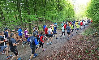 Der Hermannslauf 2019. In diesem Jahr fiel er aus. - Sarah Jonek/jonek-fotografie.de Der Hermannslauf 2019. In diesem Jahr fiel er aus. - Sarah Jonek/jonek-fotografie.de