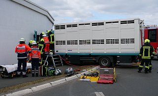Nachdem der Viehtransporter quer über den Hügel im Kreisverkehr gefahren ist, prallt er frontal gegen ein Firmengebäude. - Ralph Meyer Nachdem der Viehtransporter quer über den Hügel im Kreisverkehr gefahren ist, prallt er frontal gegen ein Firmengebäude. - Ralph Meyer