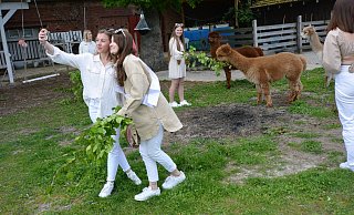 Erinnerungsfotos gehören zu einem gelungenen Workshop dazu. Hier mit den Alpakas im Hintergrund. - Karin Prignitz Erinnerungsfotos gehören zu einem gelungenen Workshop dazu. Hier mit den Alpakas im Hintergrund. - Karin Prignitz