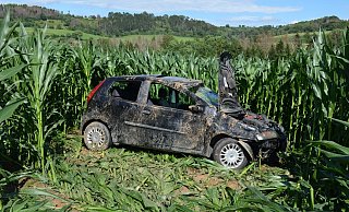 Das Auto überschlägt sich und kommt ein paar Meter weiter im Maisfeld zum Stehen. - Nicole Niemann Das Auto überschlägt sich und kommt ein paar Meter weiter im Maisfeld zum Stehen. - Nicole Niemann