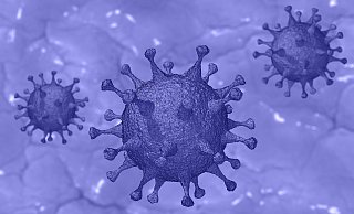 Der Inzidenzwert im Kreis Herford sinkt, doch die Zahl der Mutationsfälle nimmt weiter zu. - Symbolbild: Pixabay Der Inzidenzwert im Kreis Herford sinkt, doch die Zahl der Mutationsfälle nimmt weiter zu. - Symbolbild: Pixabay