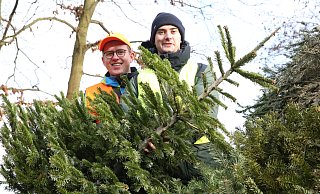 Die beiden CVJM-Mitglieder Magnus Wollert (l.) und Luis Wallmann bringen Fuhre um Fuhre ausgediente Tannenbäume zu der Sammelstelle an der Stüher Straße. - Elke Niedringhaus-Haasper Die beiden CVJM-Mitglieder Magnus Wollert (l.) und Luis Wallmann bringen Fuhre um Fuhre ausgediente Tannenbäume zu der Sammelstelle an der Stüher Straße. - Elke Niedringhaus-Haasper