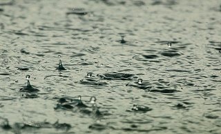 Bald regnet es in NRW. - Pixabay Bald regnet es in NRW. - Pixabay
