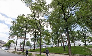 Blick in Richtung Stadthalle und Tüte: Suchtkranke Menschen bestimmen mehr und mehr das Bild im direkten Umfeld des Eventhauses. - Oliver Krato Blick in Richtung Stadthalle und Tüte: Suchtkranke Menschen bestimmen mehr und mehr das Bild im direkten Umfeld des Eventhauses. - Oliver Krato
