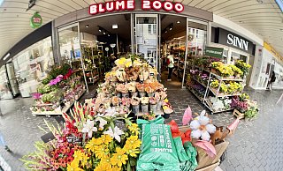 Wo jetzt noch Blume2000 in der Bielefelder Einkaufszone zu Hause ist, wollen vier Bielefelder Brüder mit Geschäftssinn bald Instant-Ramen verkaufen. - Peter Unger Wo jetzt noch Blume2000 in der Bielefelder Einkaufszone zu Hause ist, wollen vier Bielefelder Brüder mit Geschäftssinn bald Instant-Ramen verkaufen. - Peter Unger