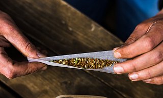 Das Bundeskabinett hat die teilweise Legalisierung von Cannabis auf den Weg gebracht. - dpa/Philipp von Ditfurth Das Bundeskabinett hat die teilweise Legalisierung von Cannabis auf den Weg gebracht. - dpa/Philipp von Ditfurth