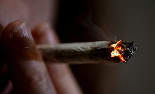 Nach dem Gesetz der Ampel-Koalition sollen Besitz und Anbau von Cannabis mit zahlreichen Vorgaben für Volljährige zum Eigenkonsum legal werden. - Fabian Sommer/dpa Nach dem Gesetz der Ampel-Koalition sollen Besitz und Anbau von Cannabis mit zahlreichen Vorgaben für Volljährige zum Eigenkonsum legal werden. - Fabian Sommer/dpa
